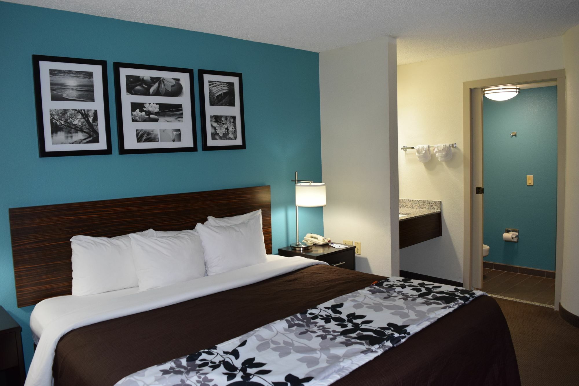 Clarion Inn & Suites Dfw North Irving Exterior foto
